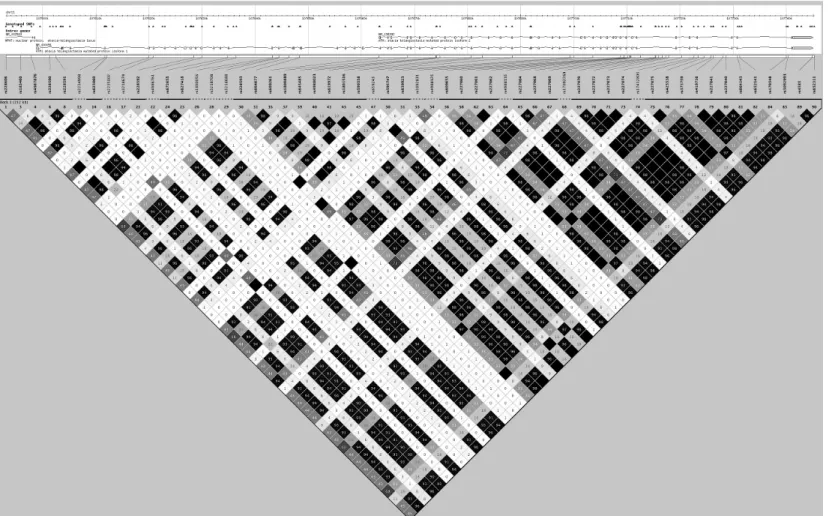 Figure 2: ATM linkage disequilibrium map for HapMap CEU 