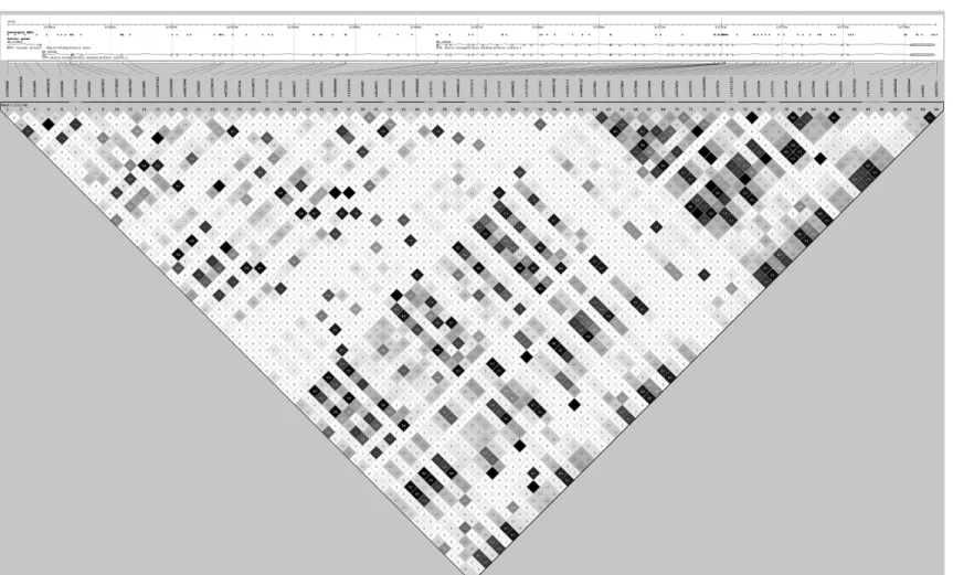 Figure 3: ATM linkage disequilibrium map for HapMap YRI 