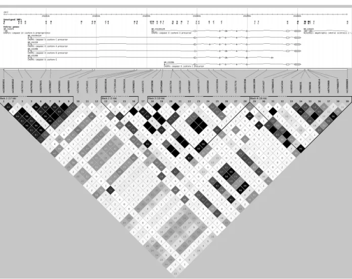 Figure 4: CASP8 linkage disequilibrium map for HapMap CEU 