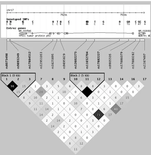 Figure 7: TP53 linkage disequilibrium map for HapMap YRI 
