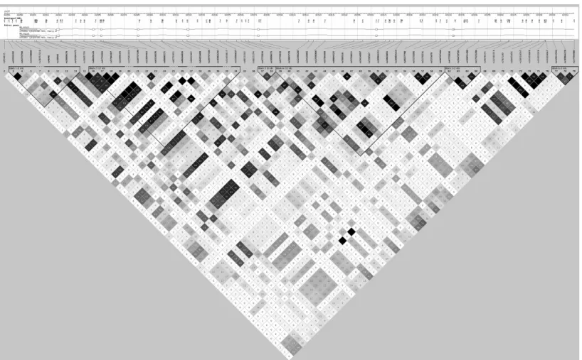 Figure 9: CYP19A1 linkage disequilibrium map for HapMap YRI 