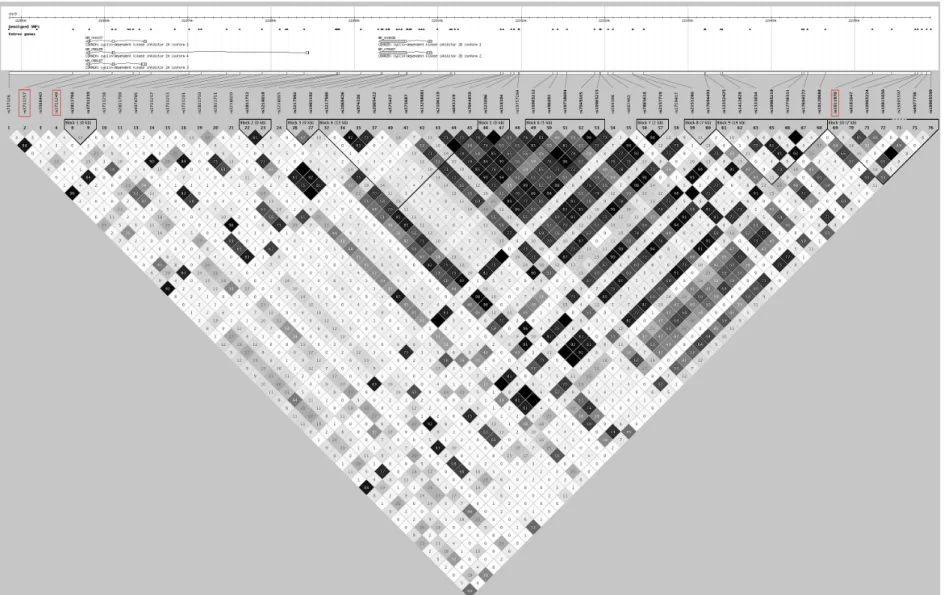 Figure 14: CDKN2A/CDKN2B linkage disequilibrium map for HapMap CEU 