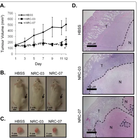 Figure 7 NRC-03 and NRC-07 halt the growth of breast cancer xenografts in micetreatment