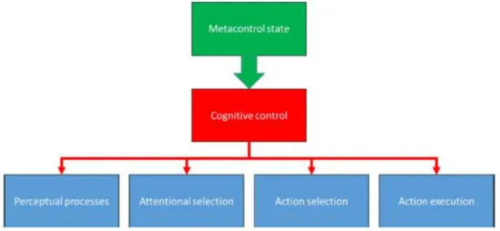 Figure 1: Schematic representation of the interaction between cognitive control and met- met-acontrol (taken from Hommel &amp; Colzato 2017)