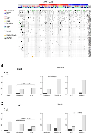 Figure 3: A. Heatmap of the mutations found in 76 patients (MAF>0.01). B. KAS mutation among three patients’ groups (MAF >0.01)