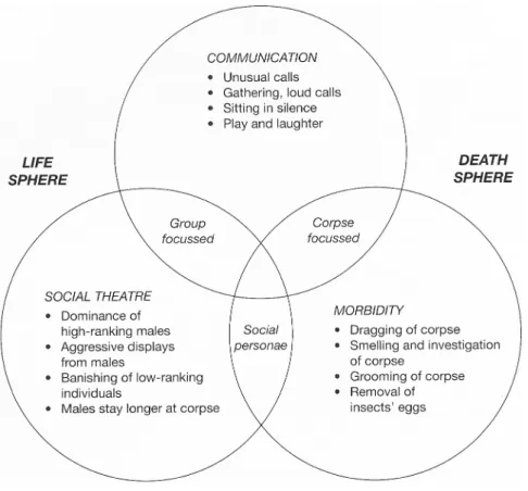 Figure	
  1	
  Model	
  of	
  core	
  mortuary	
  behaviour	
  divided	
  into	
  realms	
  and	
  the	
  spheres	
  of	
  life	
  and	
   death	
  (Pettitt	
  2011)	
  
