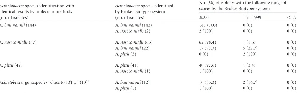 TABLE 1 Comparison of the Bruker Biotyper MALDI TOF MS system with molecular methods in identifying 286 blood isolates of Acinetobactercalcoaceticus-Acinetobacter baumannii complex