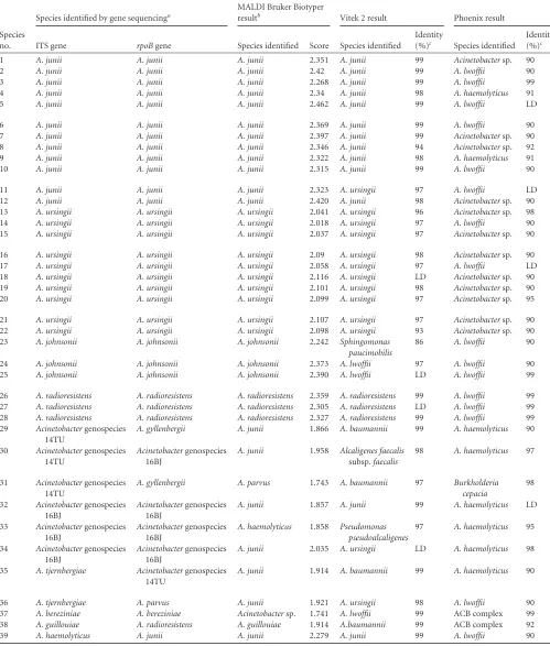 TABLE 2 Results of identiﬁcation of 39 Acinetobacter species other than Acinetobacter calcoaceticus-Acinetobacter baumannii complex isolates bydifferent methods