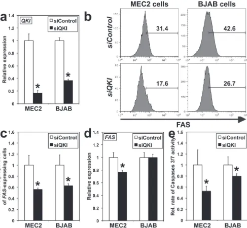 Figure 5: QKI effects on FAS0.01. C. expression and Caspases 3/7 activity in BJAB and MEC2 cells