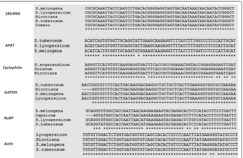 Figure 2 Multiple Sequence Alignment of the six candidate genes by CLUSTALW.