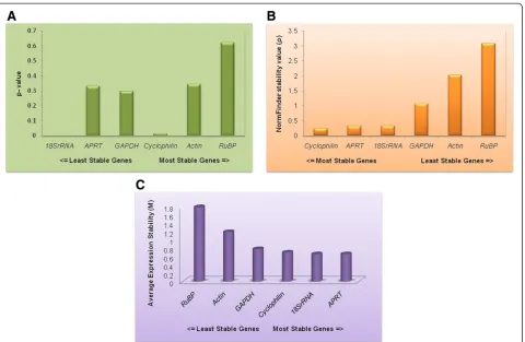 Table 4 Confirmation of the stability of the identifiedreference genes in four different varieties of eggplant