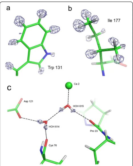 Figure 1 View of hydrogen atoms in the X-ray structure. (a)Fixed H atoms: Trp 131 side-chain
