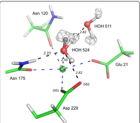 Figure 4 Chemical environment of calcium coordinating watermolecule HOH 524. The electron density Fobs-Fcalc residual map(light grey) is at 2.2 σ contour level