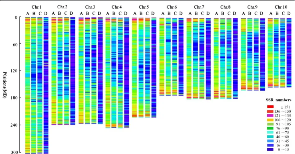 Figure 2 The distributions for overall SSRs, unique SSRs, unique SSRs with polymorphism and published SSRs on maize chromosomes.(A) The distributions for overall SSRs; (B) The distributions for unique SSRs; (C) The distributions for unique SSRs with polymo