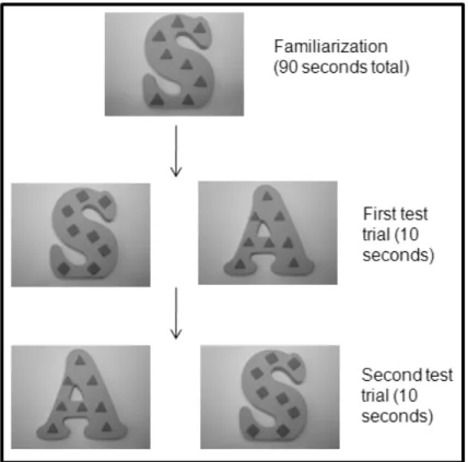 Figure 2: Manual Familiarization Design and Stimuli Example 