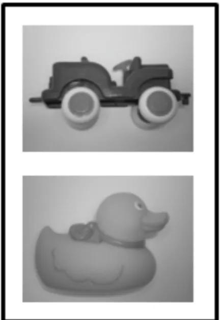Figure 4: Free-play Stimuli  Data Coding 