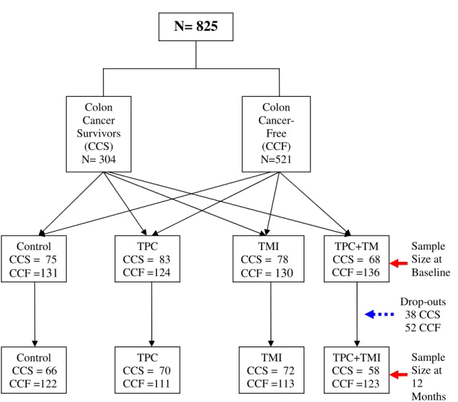 Figure 5.  Randomization of NC STRIDES study population. CCS= Colon Cancer 