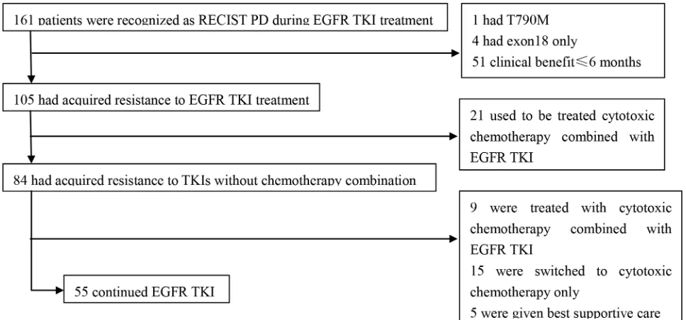 Figure 1: Flowchart of patient selection. EGFR, epidermal growth factor receptor; TKI, tyrosine kinase inhibitor; RECIST, Response Evaluation Criteria in Solid Tumors; PD, progression disease.
