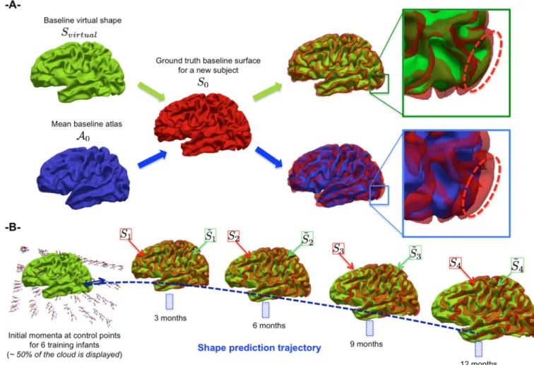 Figure 4. Virtual shape construction and local morphing using spatially close and to- to-pographically similar points from the cloud