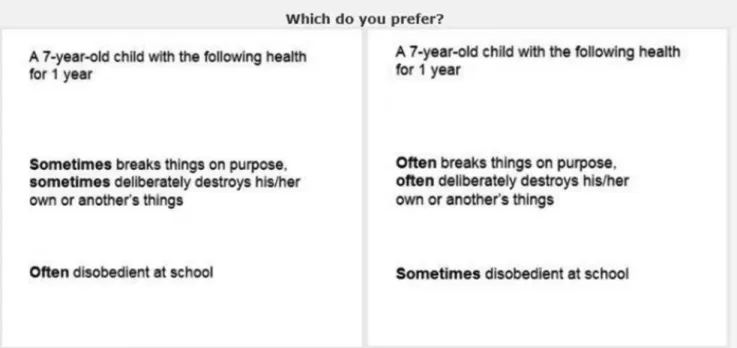 Figure 3 Example of an item paired comparison.