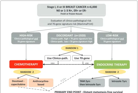 Figure 3. MINDACT (Microarray In Node-negative and 1-3 positive lymph-node Disease may Avoid ChemoTherapy) randomized trial design