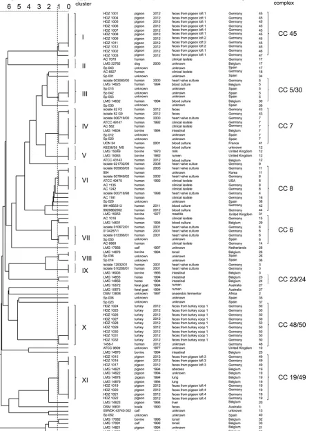 FIG 1 UPGMA dendrogram of 101 S. gallolyticus subsp. gallolyticus strains. The phylogenetic tree shown was calculated with the allelic proﬁle by using theUPGMA algorithm