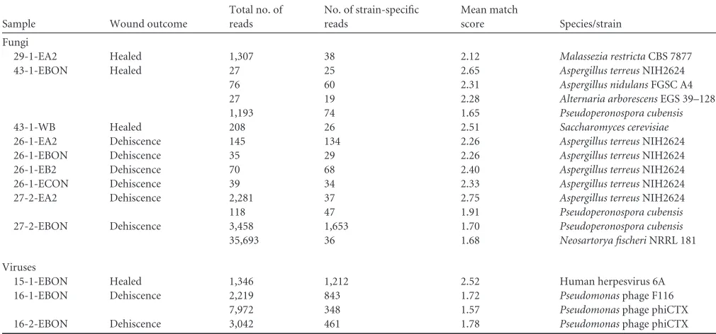TABLE 4 Fungi and viruses identiﬁed in wound samples through analysis of next-generation sequence data with LMATa