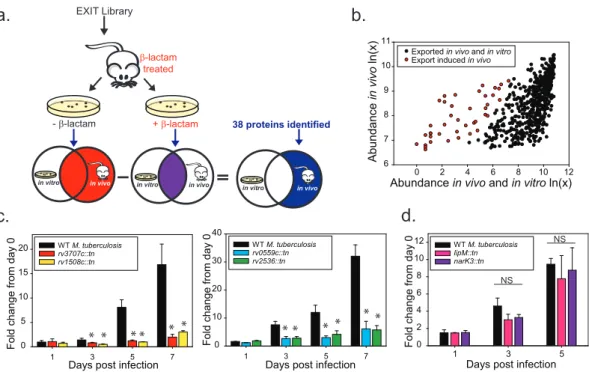 FIG 5 Strategy for identiﬁcation of in vivo induced exported proteins. (a) Identiﬁcation of in vivo induced exported proteins.