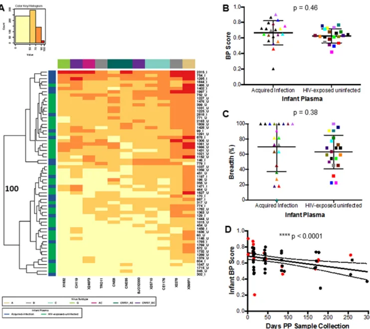 FIG 2 Infant neutralization response against a heterologous global Env panel. (A) Each square in the heat map represents the average percentage of neutralization for each virus-plasma combination tested: ⬍50%, yellow; 50 to 70%, light orange; 70 to 90%, da