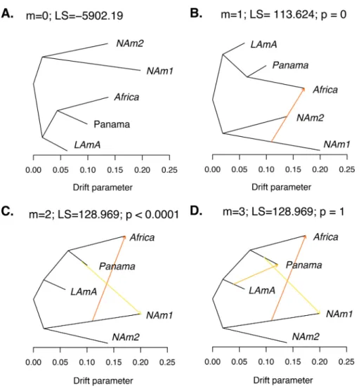 TABLE 3 A demographic scenario that involves two migration events is the most likely explanation for the partition of allele frequencies across the genus Histoplasma a