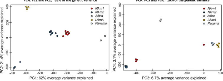 FIG 1 Principal-component analysis for Histoplasma using whole-genome allelic frequencies