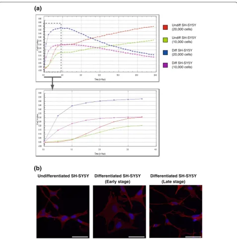 Figure 5 Confirmation of differentiation parameters for SH-SY5Y cells. (a)differentiated cells are larger than undifferentiated cells but cell body size decreases as neurites extend in late stage differentiation