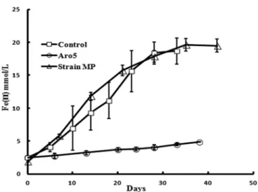FIG 3 Fe(III) oxide reduction by G. sulfurreducens strain MP and previously reported (2) rates of Fe(III) oxide reduction for strain Aro-5, which produces poorly conductive pili, and the control strain of G