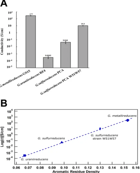 FIG 5 Comparison of pili conductivities. (A) Comparison of the conductivity of G. metallireducens pili (this study), wild-type G