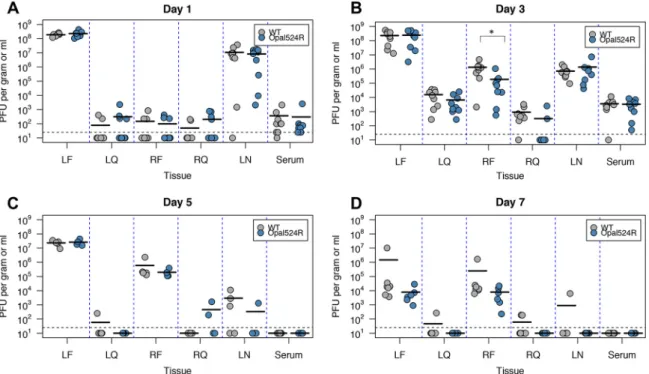 FIG 4 CHIKV replication at target sites in vivo is not impaired by mutagenesis of the opal stop codon