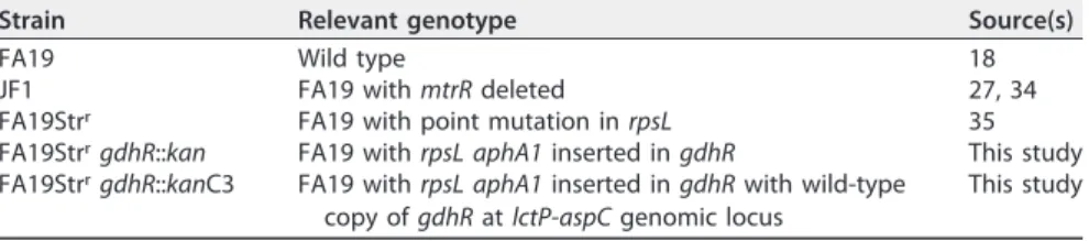 TABLE 1 Strains of Neisseria gonorrhoeae employed in this study