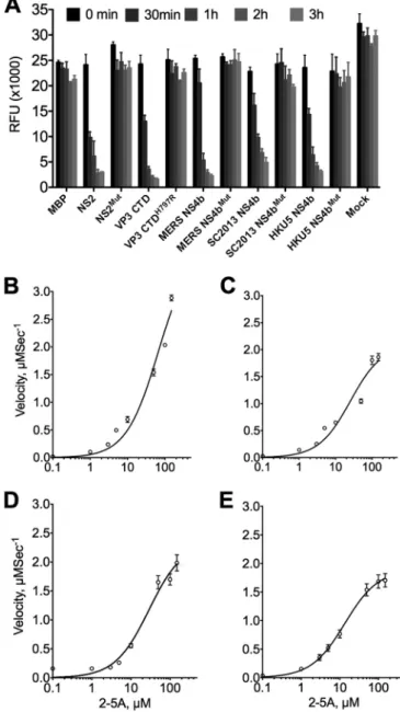 FIG 3 Lineage C NS4b proteins are catalytically active 2=,5=-phospho- 2=,5=-phospho-diesterases