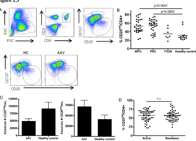 Figure  1.3.  Altered T  cell dynamics  in  PBMCs  of  AAV  patients. (A)  Gating  strategy  of  CD3+ 