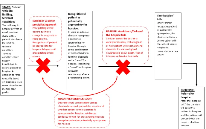 Figure 2.3. Usual care pathway visualization 