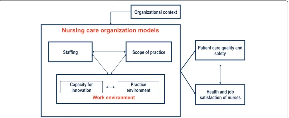 Figure 1 A nursing care organization framework.