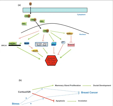 Figure 2. Mechanisms of stress signaling in breast cells and of stress-induced breast cancer development