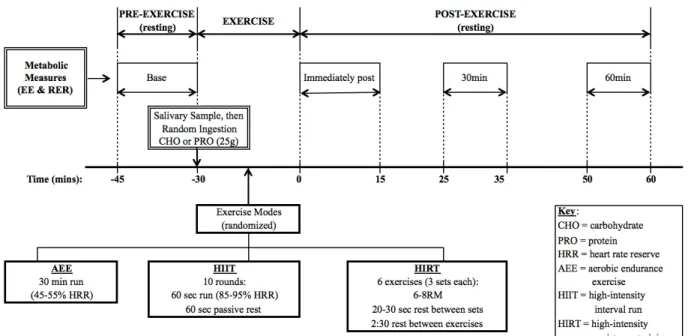 Figure 1: Experimental Protocol Schematic 