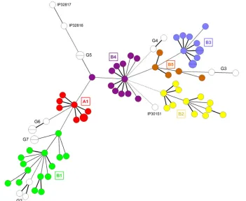 FIG 5 Minimal spanning tree of the 80in the 2IS-RFLP dendrogram. The tree was constructed using the combination of the serotype, ribotype, ST, and 2IS type for each strain
