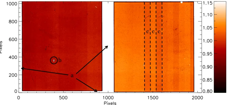 Fig. B.1. Normalized IRDIS master-flat image in H band. The illuminated detector halves are surrounded by the field-mask {a}