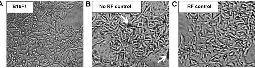 Figure 6 Induction heating curve for different concentrations of dextran-coated lsMO nanoparticles
