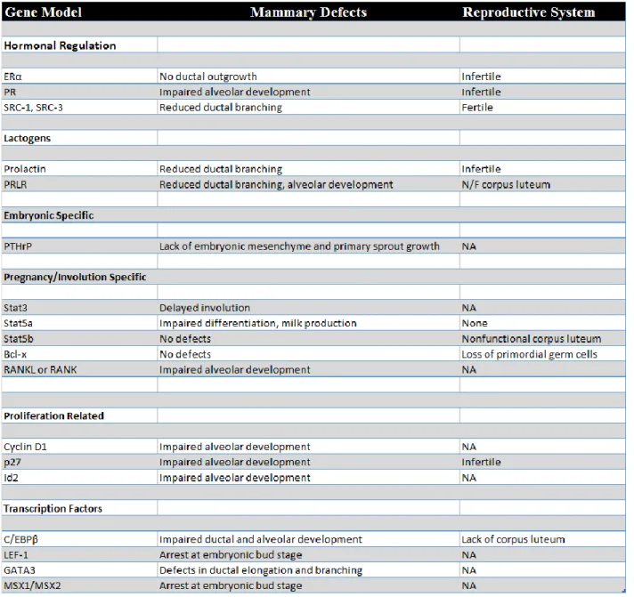 Table 1.1. Current Mammary Mouse Models and their Phenotypes 
