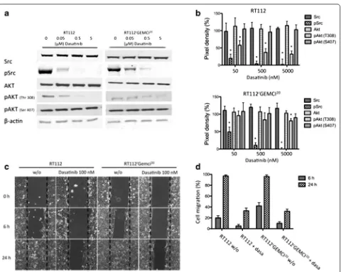 Fig. 2 assays were shown (magnification bation with dasatinib. experiments is shown here