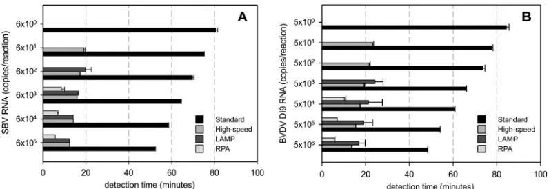 FIG 2 Assay times of the different SBV-speciﬁc (A) and BVDV-speciﬁc (B) detection systems