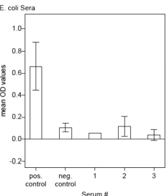 FIG 1 Purity of recombinant p15E. Mean OD values of a positive and atested with antibody ELISAs using the recombinant p15E cloning product asantigen