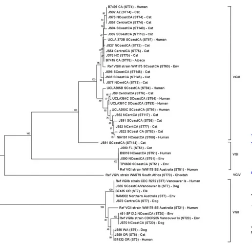 FIG 3 Dendrogram showing phylogenetic relationships betweenare clustered at the top of the dendrogram and can be divided into two major subgroups